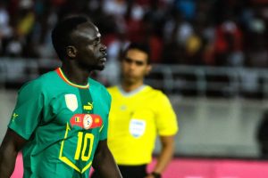 Lions Hyper protégés