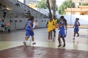 swallows # Etoile Filante
