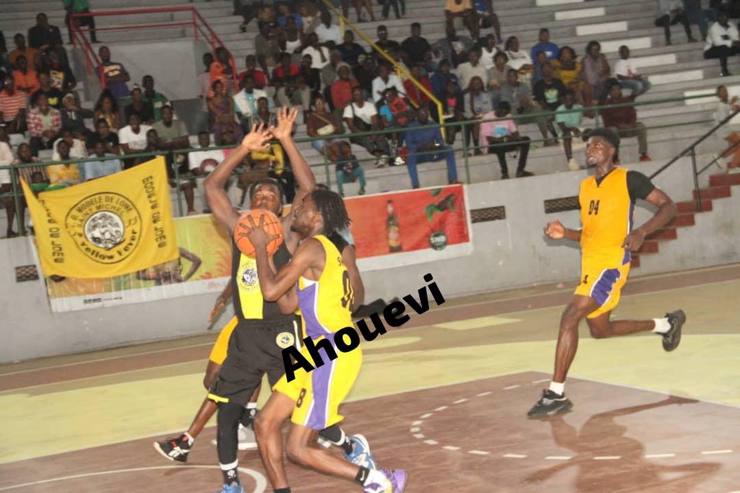 Match Modèle # Swallows