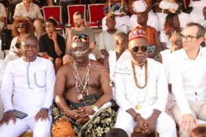 ACOFIN : Festival des Divinités Noires