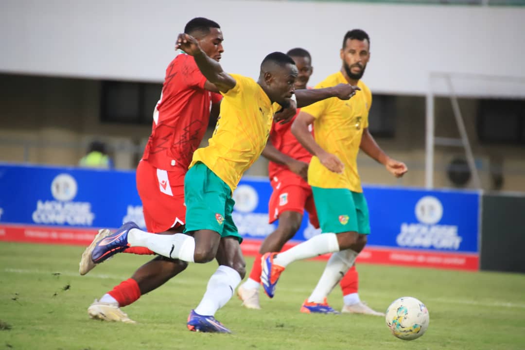 Au-delà du football, c’est tout le sport togolais qui est en danger de mort, au vu des courses aux Assemblées Générales et Congrès électifs ainsi que les conditions de leur déroulement actuellement, pour des objectifs inavoués