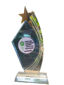Le trophée Meilleure initiative Web Média 