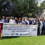l’Organisation internationale des bois tropicaux (OIBT)