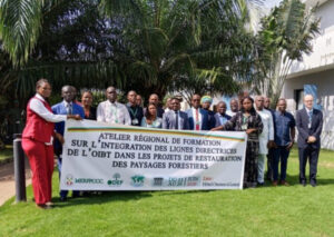 l’Organisation internationale des bois tropicaux (OIBT)
